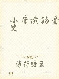 小唐璜的爱情历史