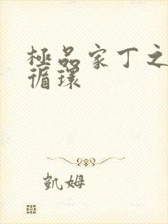 极品家丁之因果循环