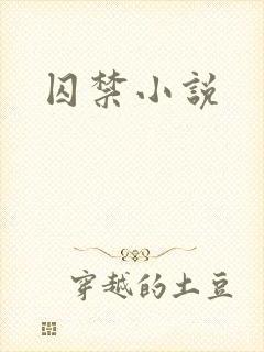 囚禁小说