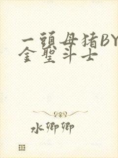 一头母猪BY黄金圣斗士