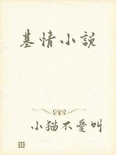 基情小说
