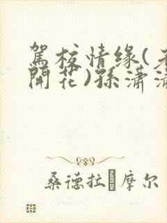 驾校情缘(老树开花)孙潇潇笔趣阁