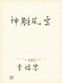 神雕风云