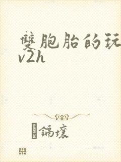 双胞胎的玩具1v2h