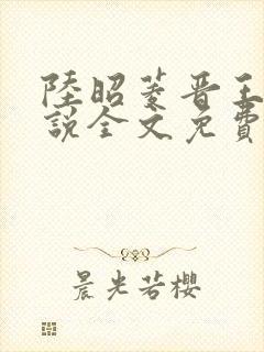 陆昭菱晋王的小说全文免费阅读