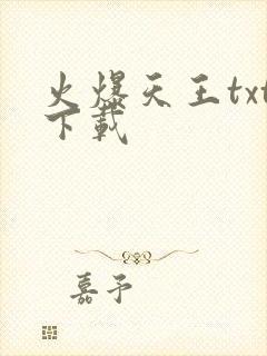 火爆天王txt下载