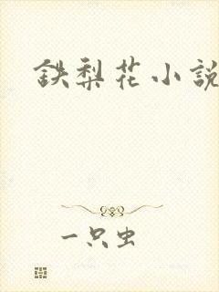 铁梨花小说