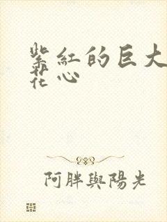 紫红的巨大顶开花心