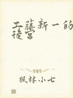 工藤新一的日本后宫