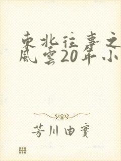 东北往事之黑道风云20年小说