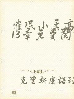 催眠小柔高达第13章免费阅读