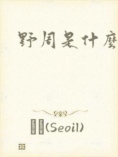 野周是什么意思