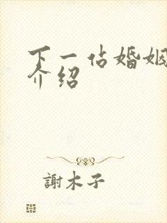 下一站婚姻剧情介绍