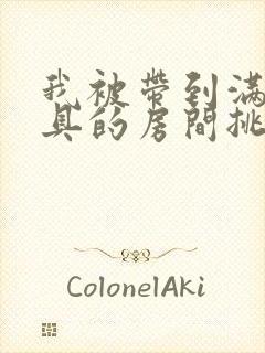 我被带到满是玩具的房间挑调作文