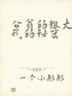 公翁的粗大放进我的秘密