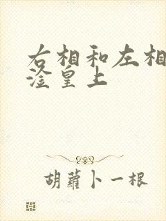 右相和左相一起淦皇上