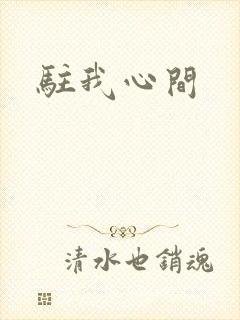 驻我心间