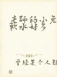 老师的小兔子好软水好多