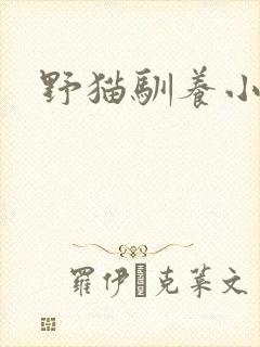 野猫驯养小说