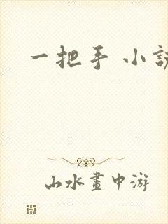 一把手 小说