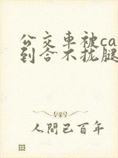 公交车被cao到合不拢腿视频