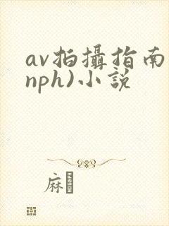 av拍摄指南(nph)小说