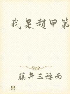 我是赵甲第小说