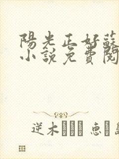 阳光正好苏玥玥小说免费阅读