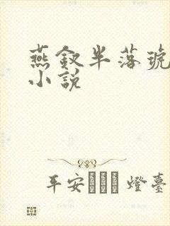 燕钗半落琥珀糖小说