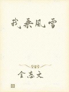 我乘风雪