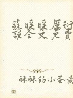 苏暖暖厉衍琛小说全文免费阅读