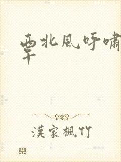 西北风呼啸的中午