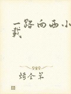 一路向西小说下载
