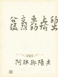 公交车上的诗请猛烈的输出阅读