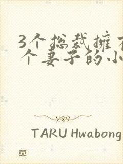 3个总裁拥有一个妻子的小说
