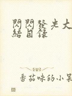 闪闪发光大团圆结目录