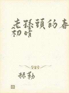 老孙头的春天林初晴