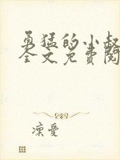 勇猛的小叔小说全文免费阅读