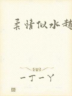 柔情似水赵雅儿