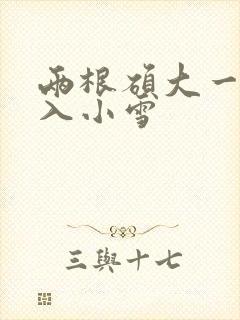 两根硕大一起挤入小雪