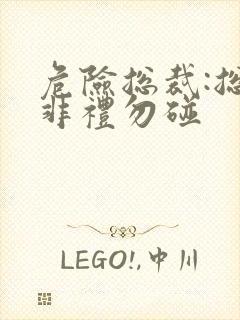 危险总裁:总裁非礼勿碰