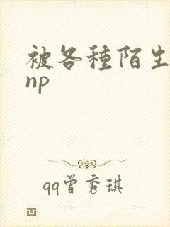 被各种陌生人 np