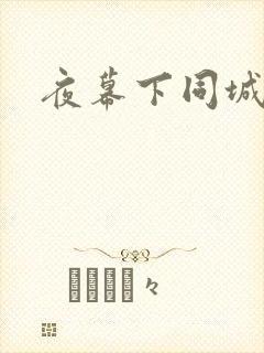 夜幕下同城网