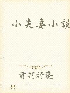 小夫妻小说