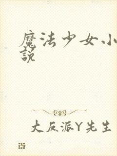 魔法少女小圆小说