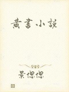 黄书小说