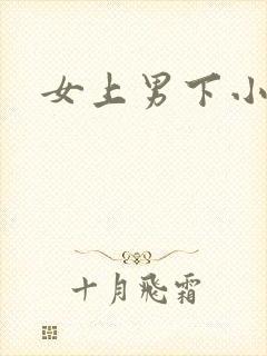 女上男下小说