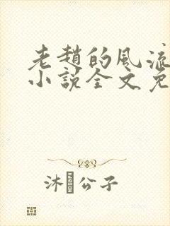 老赵的风流人生小说全文免费阅读