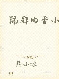 隔壁肉香小说