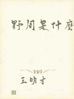 野周是什么意思